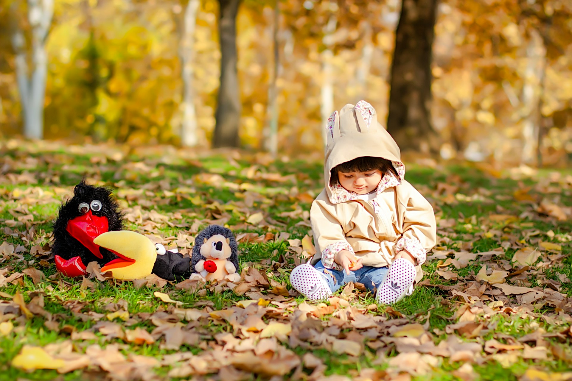 A baby sits in an autumn forest with toys.