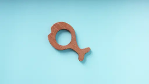 Wooden Fish Baby Teether